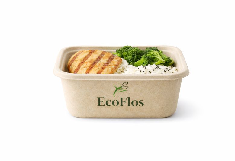 10 Inch Plain Round Plate